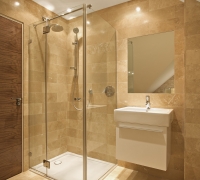 Custom glass designed bathroom with hand shower